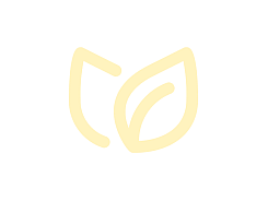 Artichoke gnocchi - barone.si